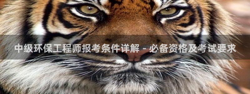 彩名堂客户端官网：中级环保工程师报考