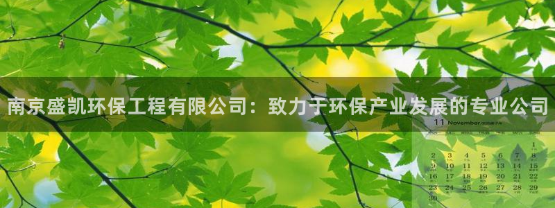 彩名堂为什么突然不能用了：南京盛凯环