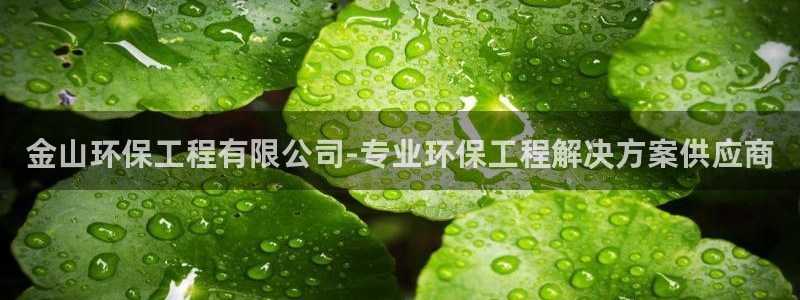 彩名堂免费计划官网5.0版下载链接：