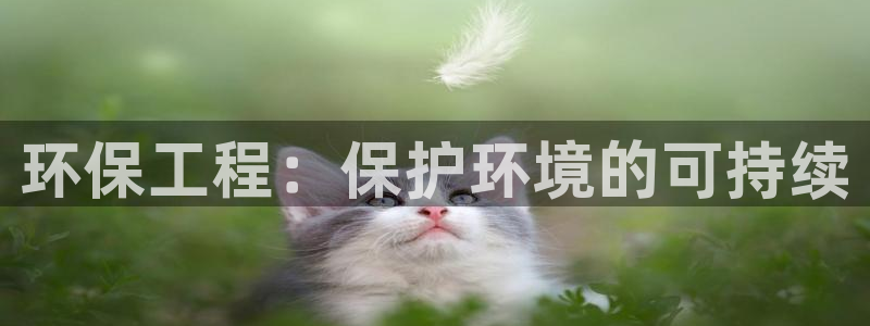 彩名堂计划和01计划怎么很稳：环保工