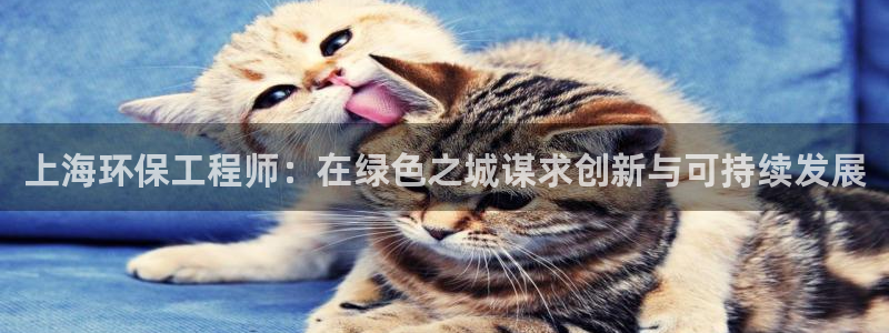 下载彩名堂预测计划软件安装：上海环保