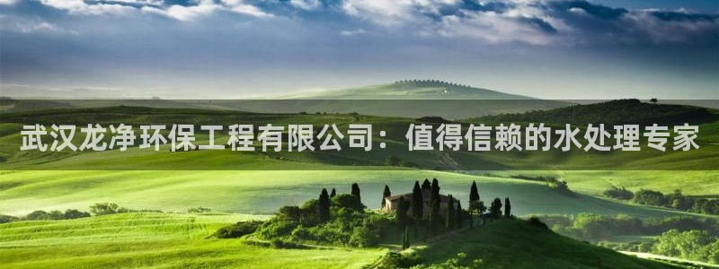 彩名堂免费计划软件下载：武汉龙净环保工程有限公司：值得信赖的水处理专家