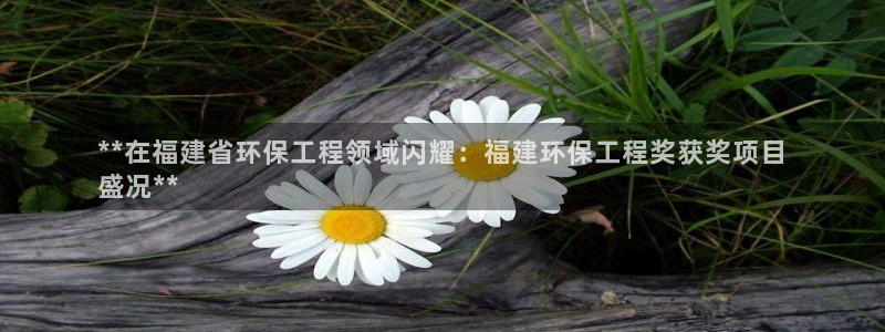 最新彩名堂计划：**在福建省环保工程