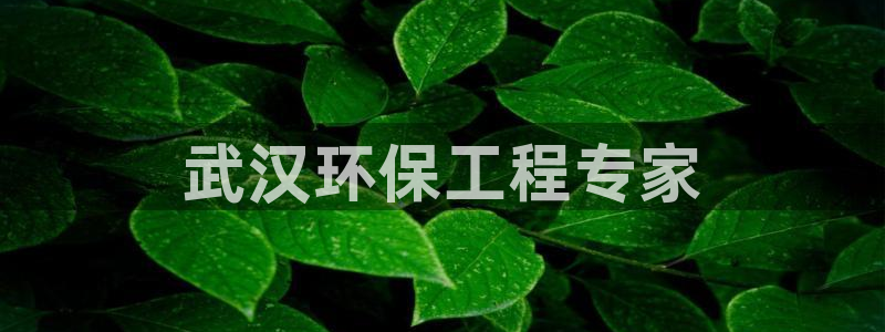 彩名堂幸运飞船计划：武汉环保工程专家