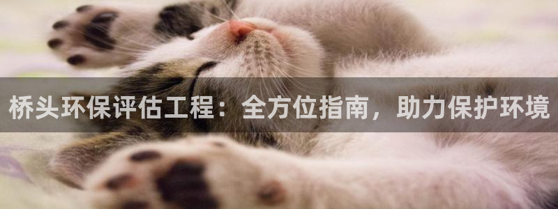 彩名堂客户端官网：桥头环保评估工程：