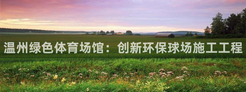 彩名堂客户：温州绿色体育场馆：创新环