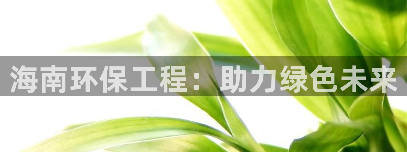 彩名堂5.0计划永久免费版为什么下不