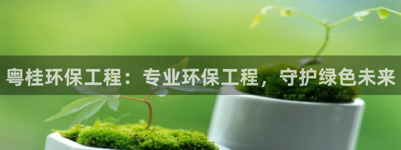 彩名堂v1.0.6：粤桂环保工程：专