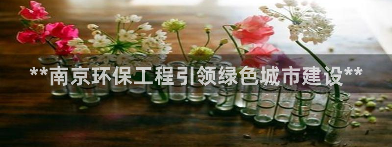 彩名堂免费计划官网5 0：**南京环