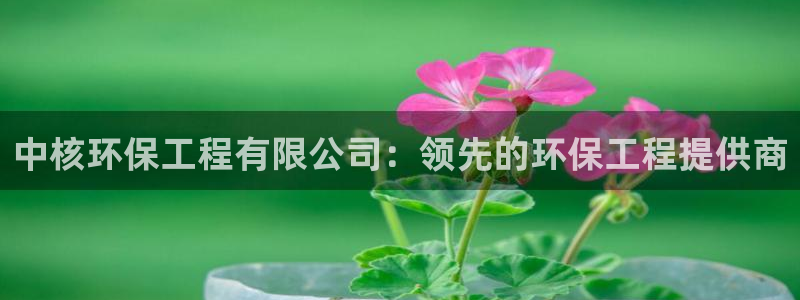 彩名堂彩：中核环保工程有限公司：领先