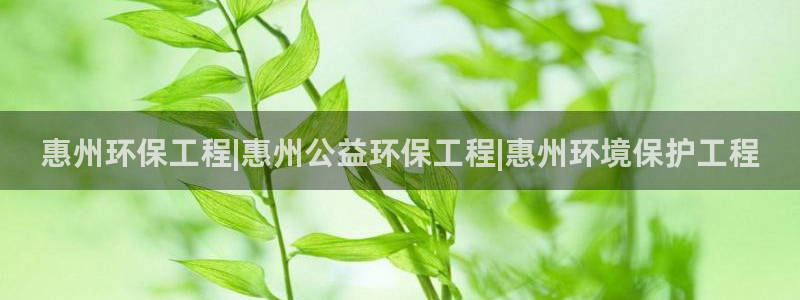 彩名堂APP下载：惠州环保工程|惠州