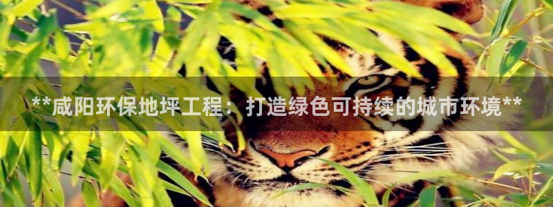 彩名堂免费计划官网怎么进不去了呀：*