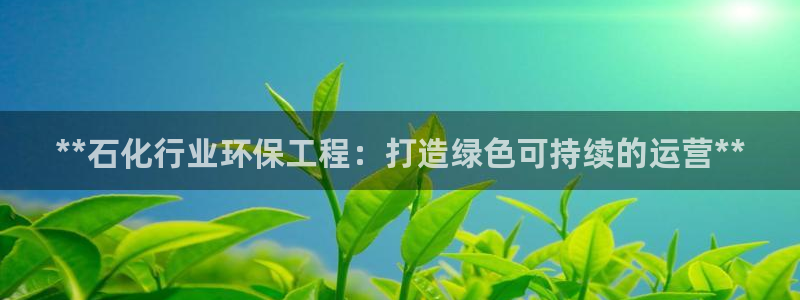 彩名堂计划技巧：**石化行业环保工程
