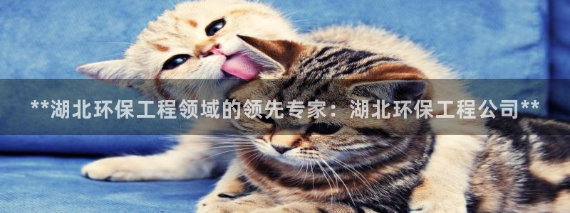 彩名堂app彩名堂客户端：**湖北环