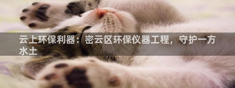 彩名堂人工计划怎么找不到下载了?：云