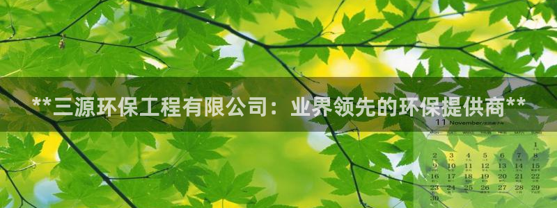 彩名堂彩：**三源环保工程有限公司：业界领先的环保提供商**