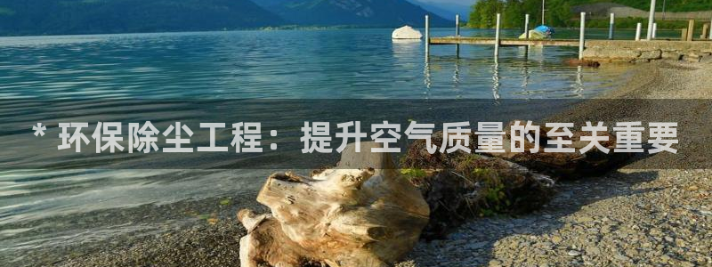 彩名堂预测计划：* 环保除尘工程：提升空气质量的至关重要