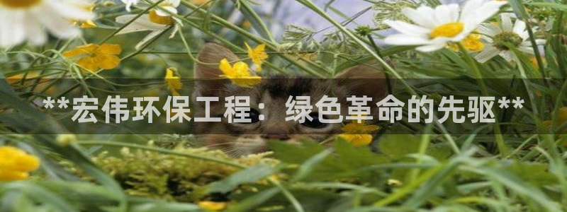 彩名堂到底怎么看,一跟就挂：**宏伟