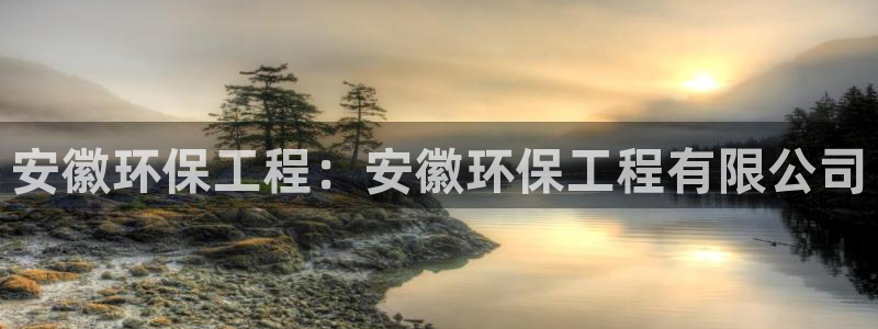 彩名堂一直不出结果怎么回事儿：安徽环保工程：安徽环保工程有限公司