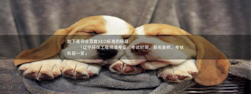 彩名堂彩：如下是符合百度SEO标准的