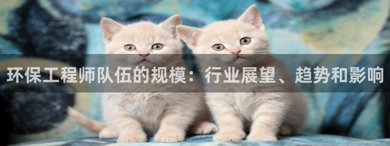 彩名堂手机客户端官网：环保工程师队伍