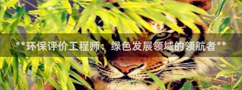 彩名堂到底怎么看,一跟就挂：**环保