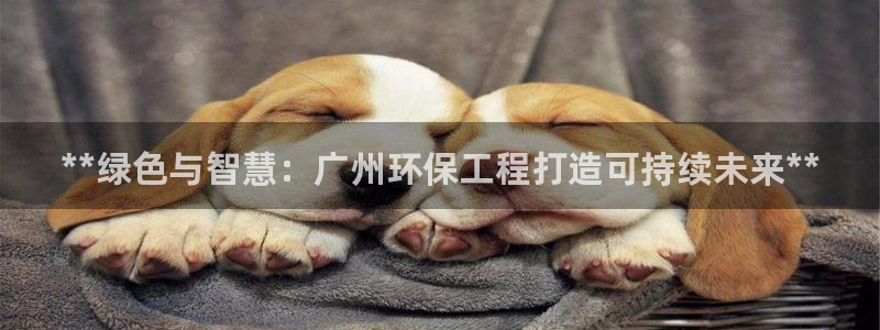 彩名堂计划怎么跟,为什么我一跟就挂：**绿色与智慧：广州环保工程打造可持续未来**